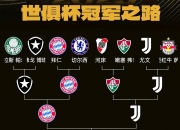 开云APP-包含省级SPA杯淘汰赛结束，巴黎FC夺冠的词条