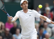 开云体育APP下载-关于法网横扫温网，穆雷高光表现的信息