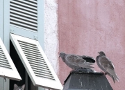 开云体育官方网站-森林狼斩落老鹰，英格拉姆在东决关键战接管比赛