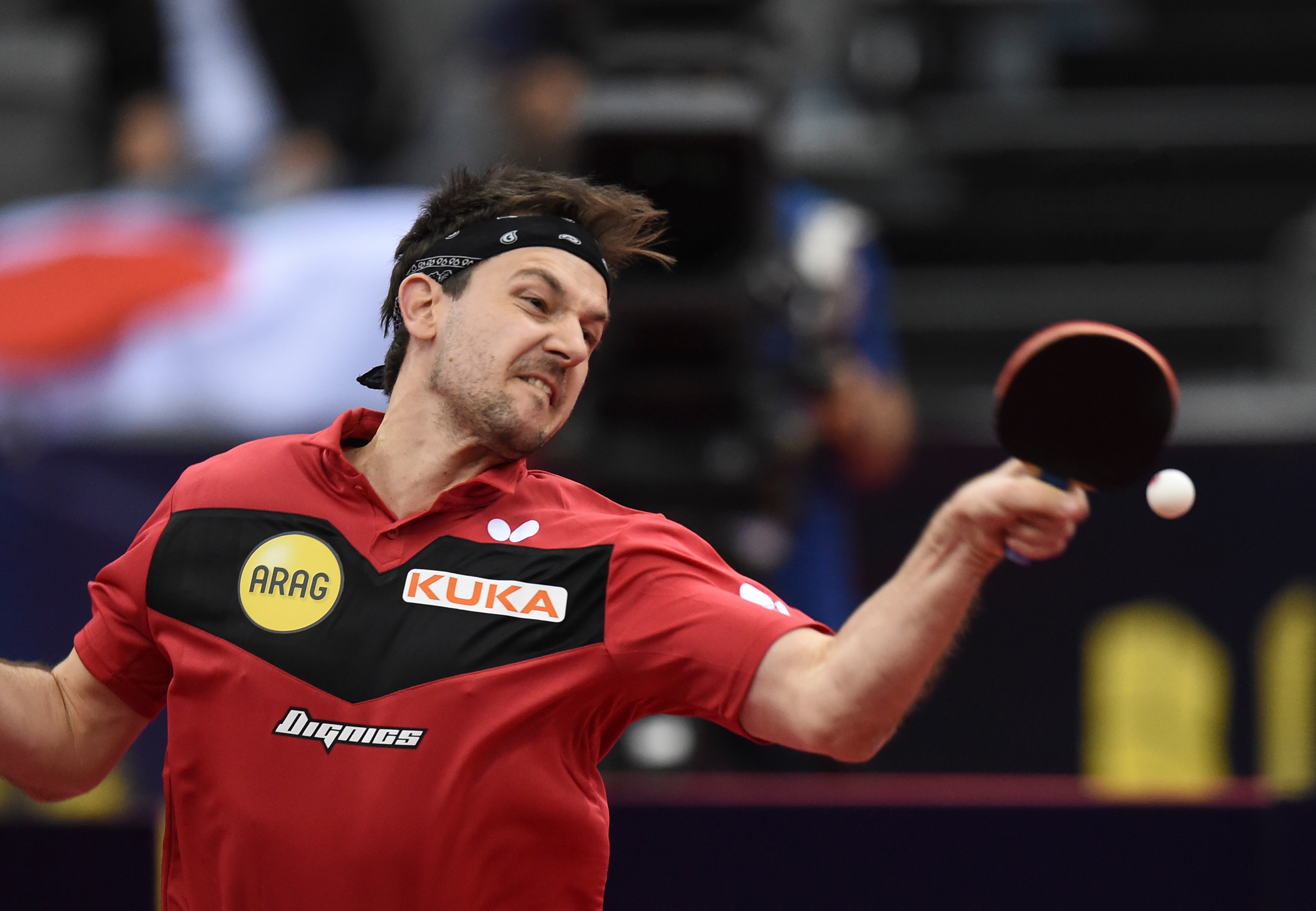 关于英国乒乓球队横扫法国乒乓球队，波尔统治全场的信息