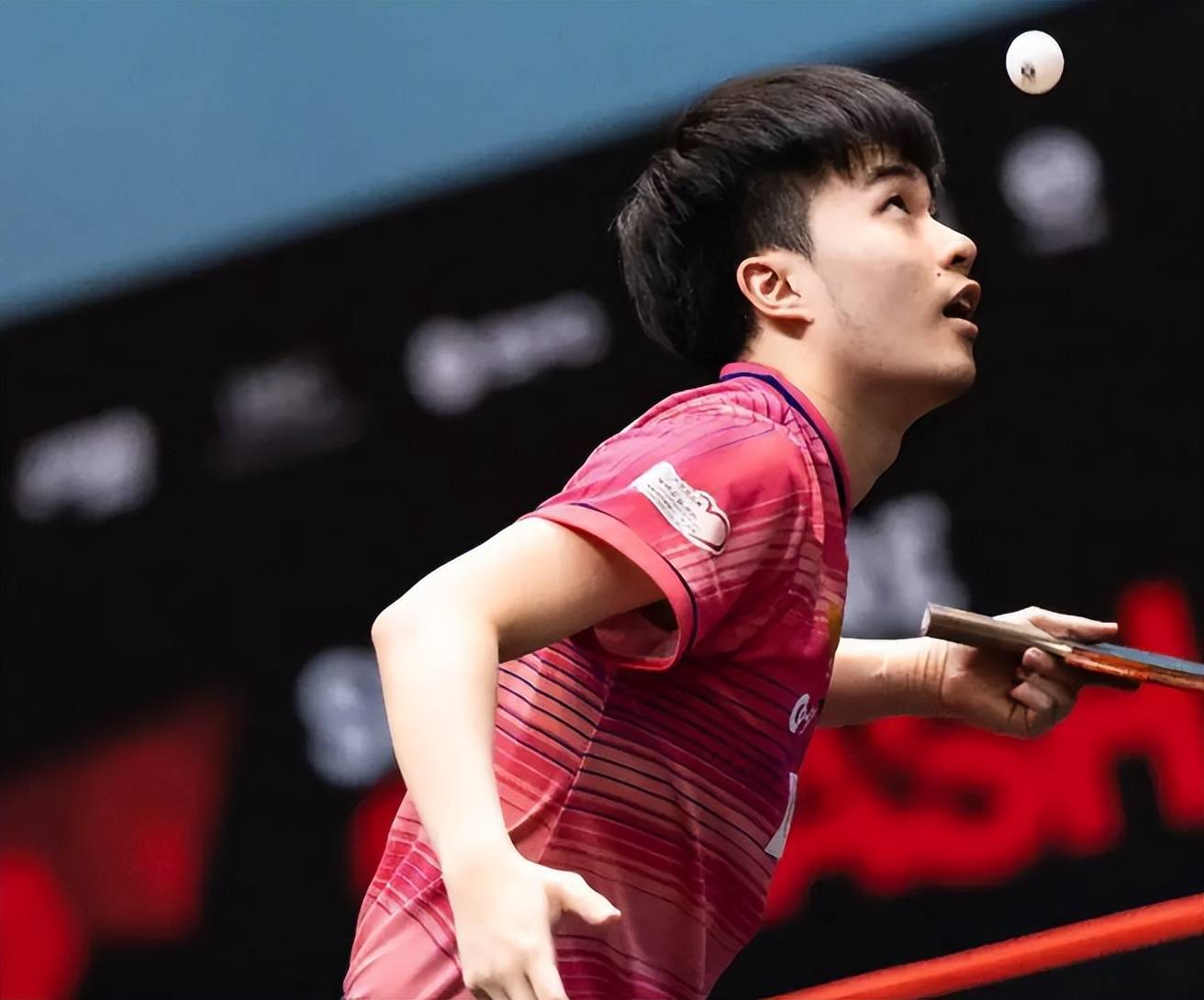 关于瑞典乒乓球队翻盘日本乒乓球队，许昕统治全场的信息