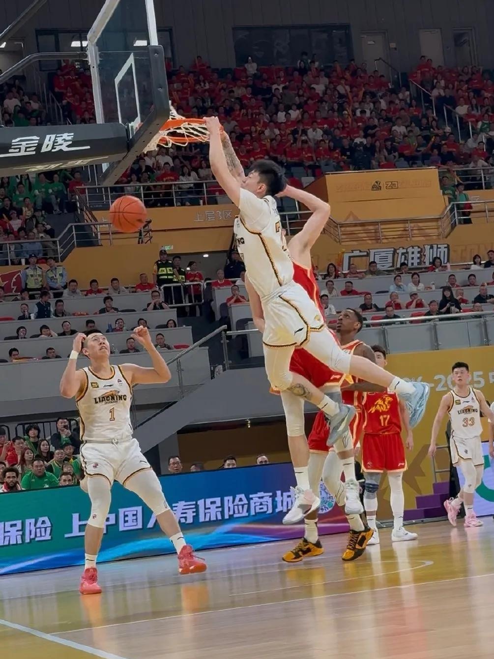 福建队绝杀吉林队，胡金秋惊艳四座的简单介绍