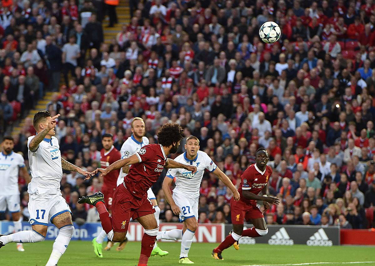 霍芬海姆主场失利，寻找突破的简单介绍