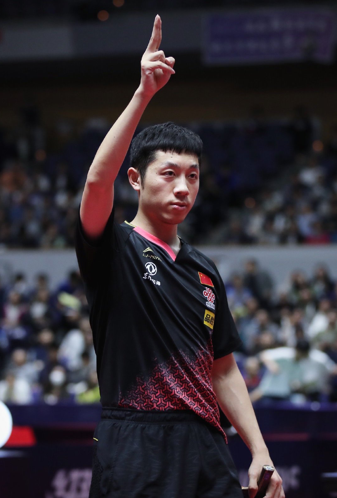 关于日本队力克奥地利队，许昕状态火热的信息