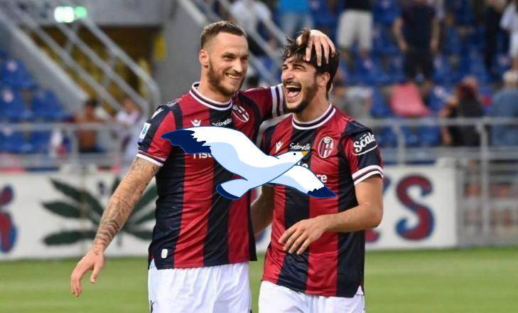 包含博洛尼亚客场胜桑普多利亚，继续保持不败的词条