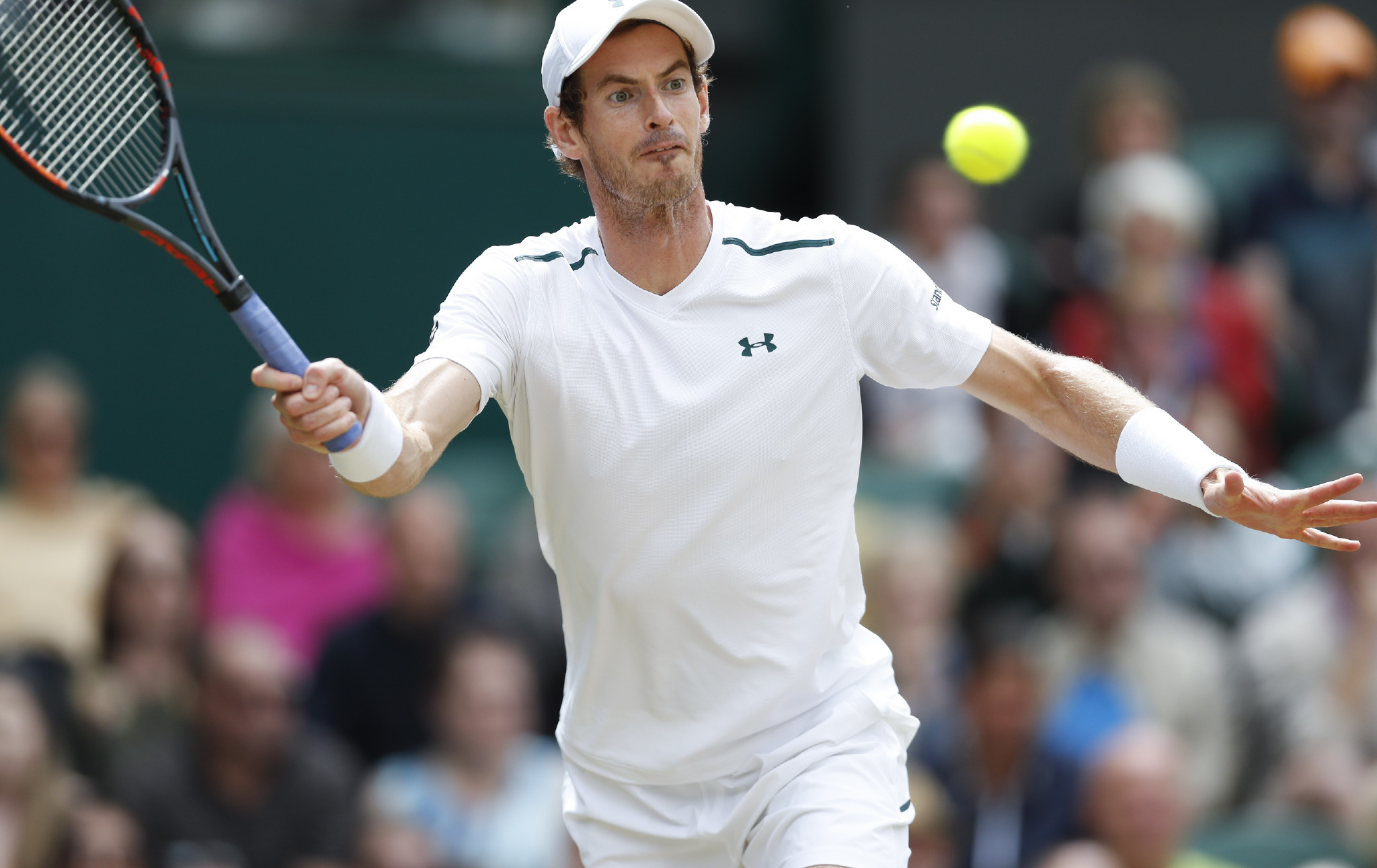 关于法网横扫温网，穆雷高光表现的信息